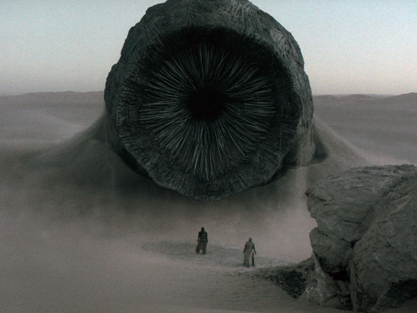 A Dangerous Worm Is Eating Its Way Through Software Packages